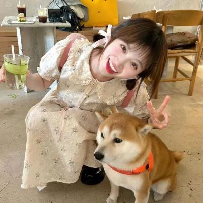 钱在囧途
